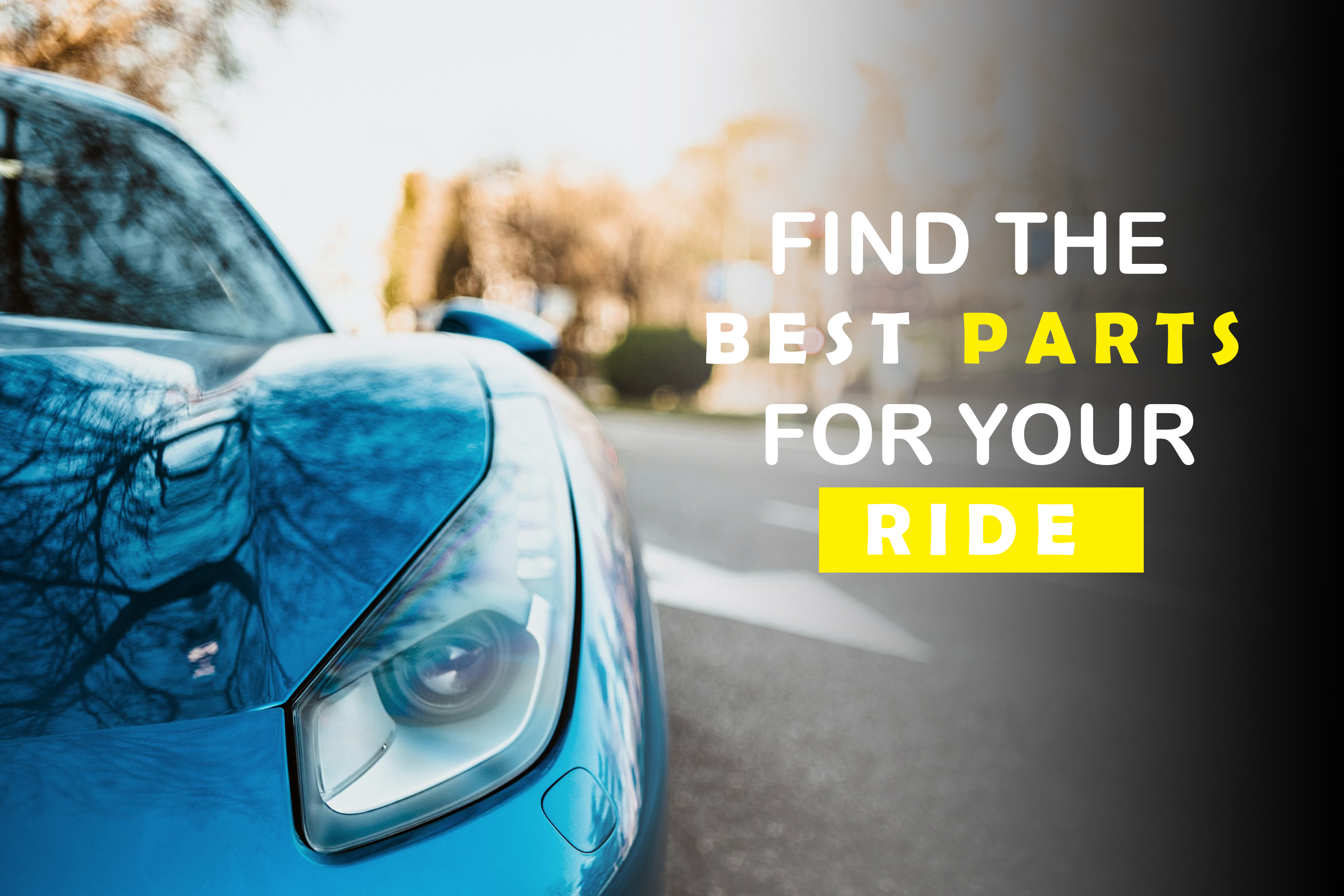 photo-1551557479-80682eb12a86-1